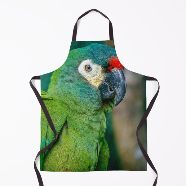 Item preview, Blue-Winged Macaw designed and sold by JarbasVisuals.
