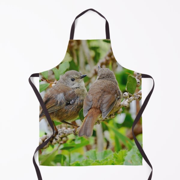 Item preview, Feathered Friends - Little Wrens designed and sold by imaginethis.