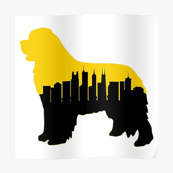 Chicago Newf Poster