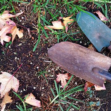 Artwork thumbnail, Autumn Garden - American Sweet Gum Red Yellow Autumn Leaves on Grass with Trowels by etourist