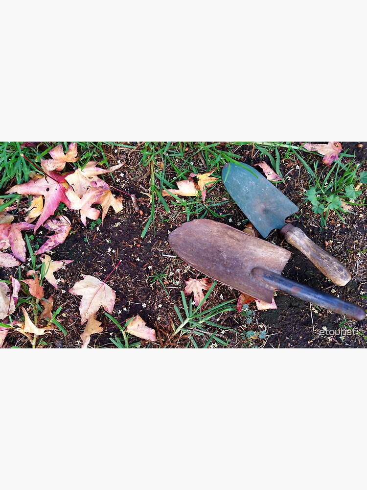 Autumn Garden - American Sweet Gum Red Yellow Autumn Leaves on Grass with Trowels by etourist