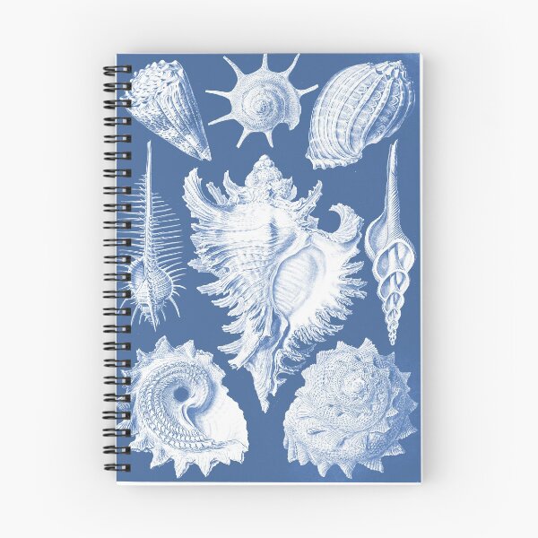 Item preview, Histoire naturelle : Prosobranchia blau designed and sold by Alex-Strange.