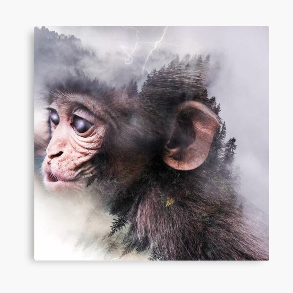 Monkey Art Canvas Print