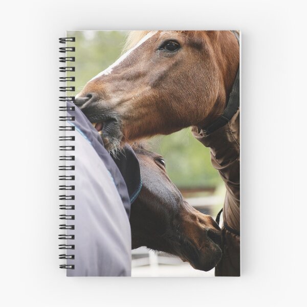 Item preview, 28.5.2021: Scratching Ponies designed and sold by Petri Volanen.