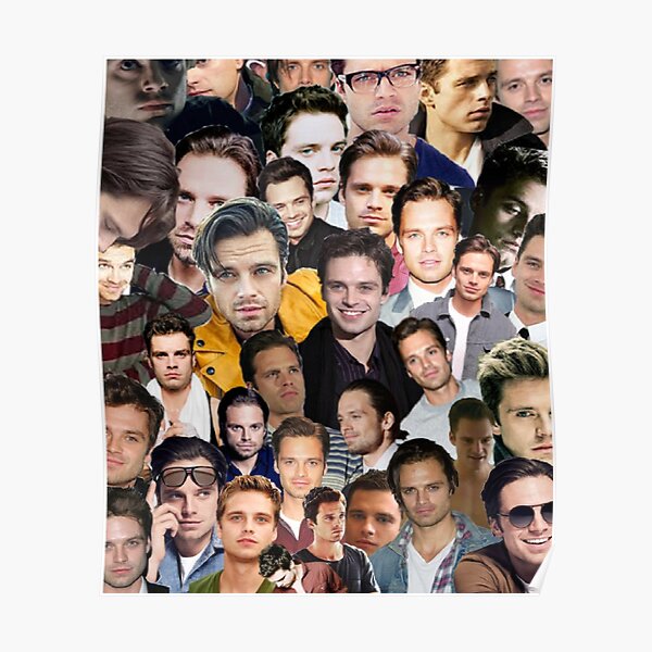 sebastian stan collage Poster