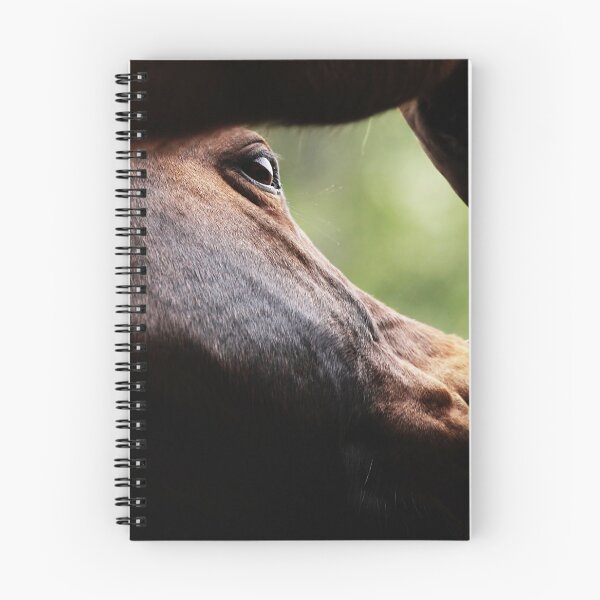 Item preview, 28.5.2021: Scratching Pony designed and sold by Petri Volanen.