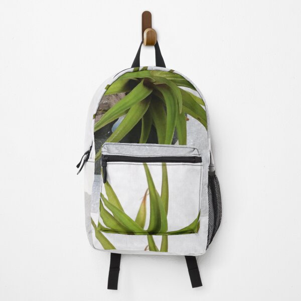 Item preview, Air plant designed and sold by pinkal.