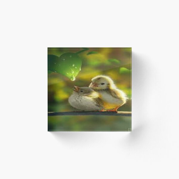 Item preview, cute bird designed and sold by aliloveroyali.