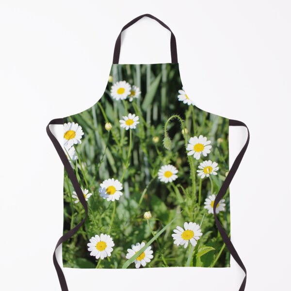 Item preview, Daises family Asteraceae on a field designed and sold by Light79.