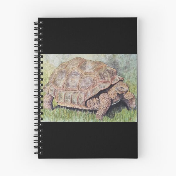 Item preview, Acuarela: Tortuga designed and sold by Delphine HIBOU.