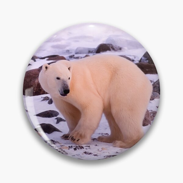 Item preview,  Polar Bear canvas, Polar Bear , animal, animals, Polar Bear wall art, Polar Bear artwork, wild, Polar Bear art,Polar Bear painting designed and sold by eyesight4vision.