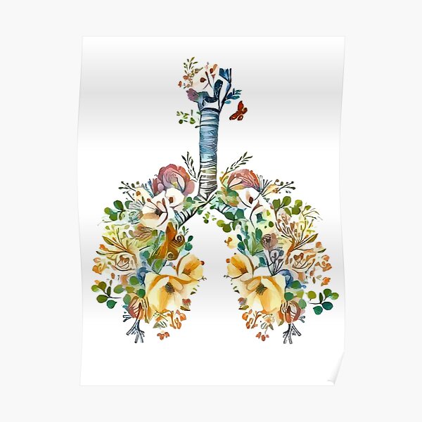 Download Flower Lungs Posters Redbubble