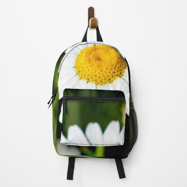 Item preview, Daises family Asteraceae on a field designed and sold by Light79.