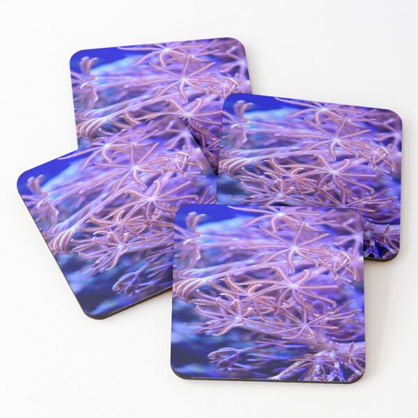 Item preview, pink coral reef designed and sold by nigejohn.