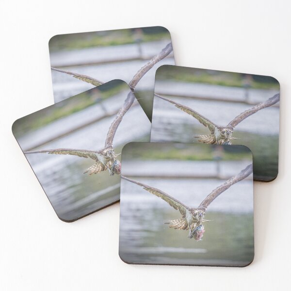 Item preview, Osprey with Trout designed and sold by nigehutchison.