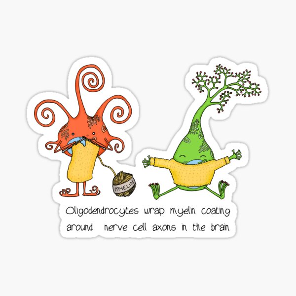 Item preview, Oligodendrocytes myelinate! designed and sold by Cartoon Neuron by Immy Smith.