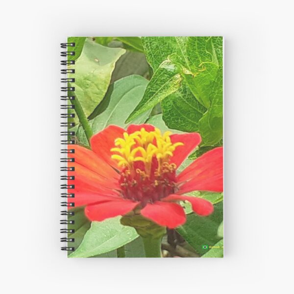 Flowers in nature, full colors Spiral Notebook