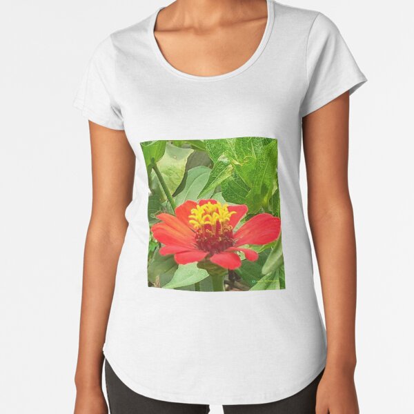 Flowers in nature, full colors Premium Scoop T-Shirt
