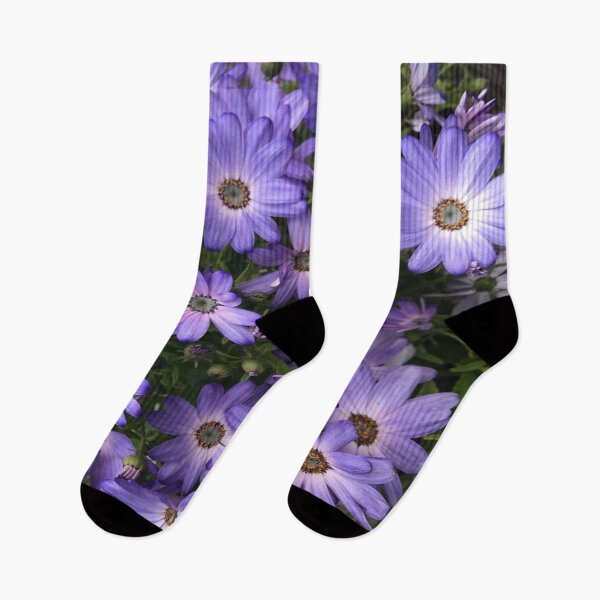 Item preview, Cinerarias - Purple Flowers designed and sold by LiteFeather1.