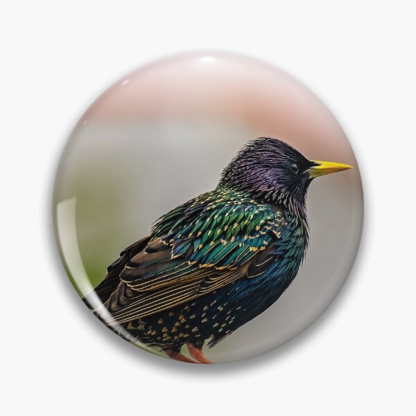 Item preview, European Starling designed and sold by AJEvans.