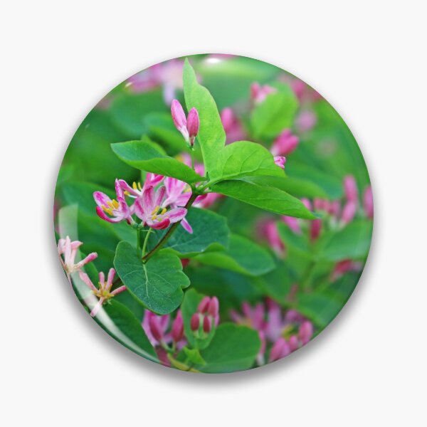 Item preview, Pink Honeysuckle designed and sold by Deb Oppermann.