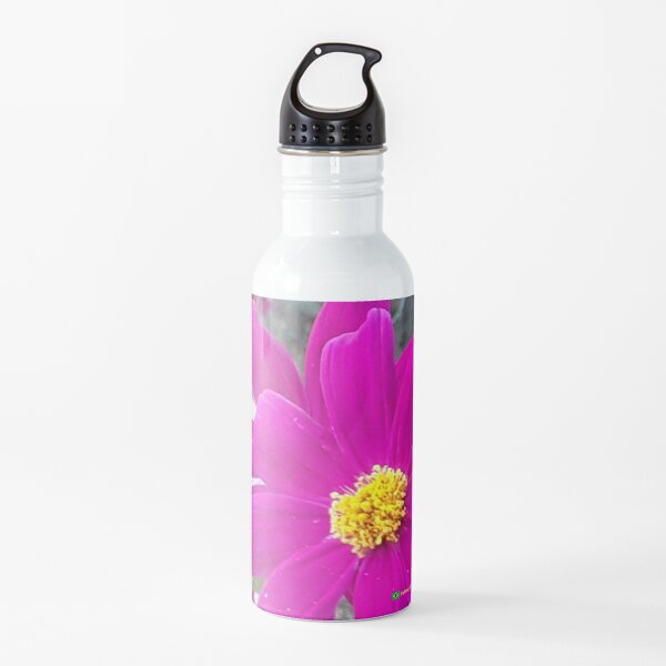 Flowers in nature, full colors Water Bottle