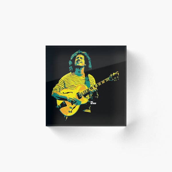 Pat Metheny. Patrick Bruce Metheny. an American jazz guitarist and composer v2 Acrylic Block
