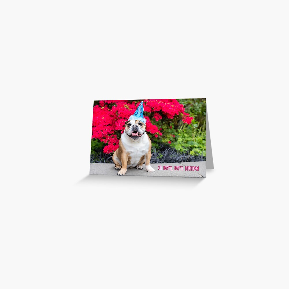 Oh Happy, Happy Birthday Greeting Card Greeting Card