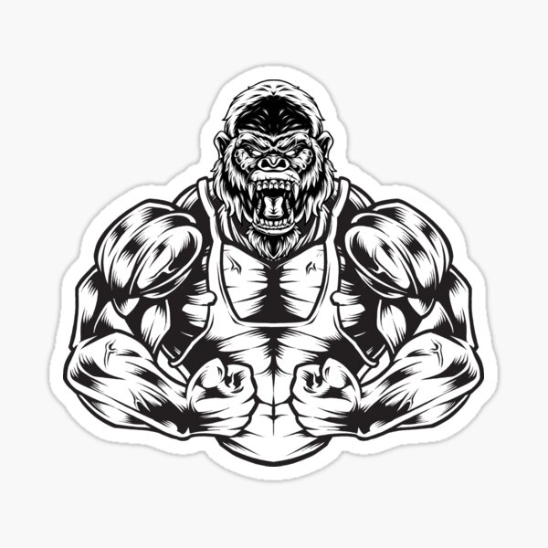 Strong ape gorilla gym workout fitness bodybuilding Sticker for