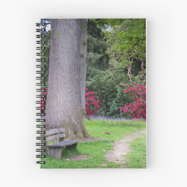 Item preview, A Seat in the Woods designed and sold by Viv Thompson Photography .