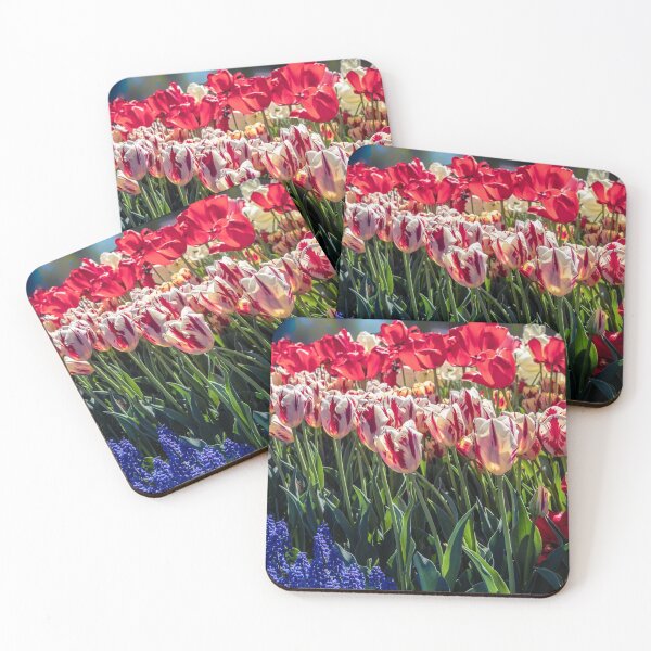 Item preview, Tulips designed and sold by barkeypf.