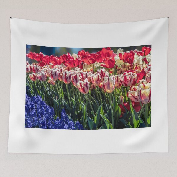 Item preview, Tulips designed and sold by barkeypf.