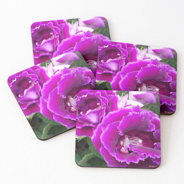 Flowers in nature, full colors Coasters (Set of 4)