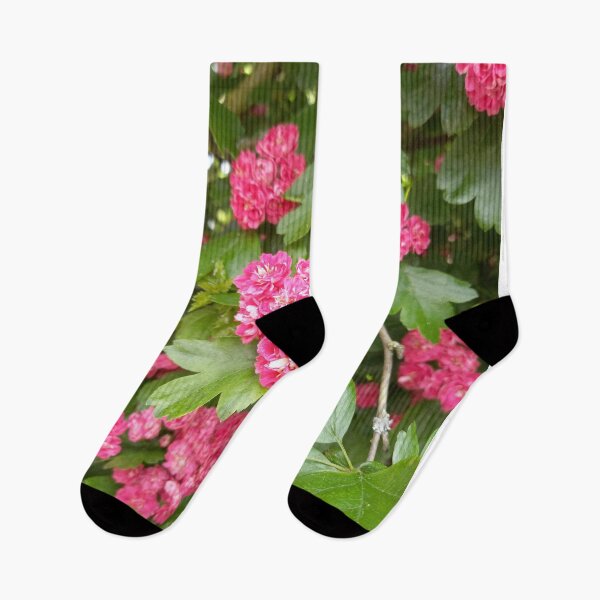 Item preview, Magenta Spring Flowers on a Walk in Berlin (Hawthorn) designed and sold by nabeArtist.