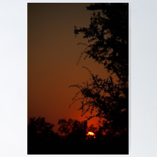 Country Sunset Poster