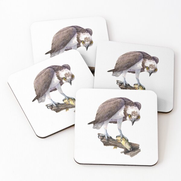 Item preview, Osprey (watercolor) designed and sold by Carrie Carlson.