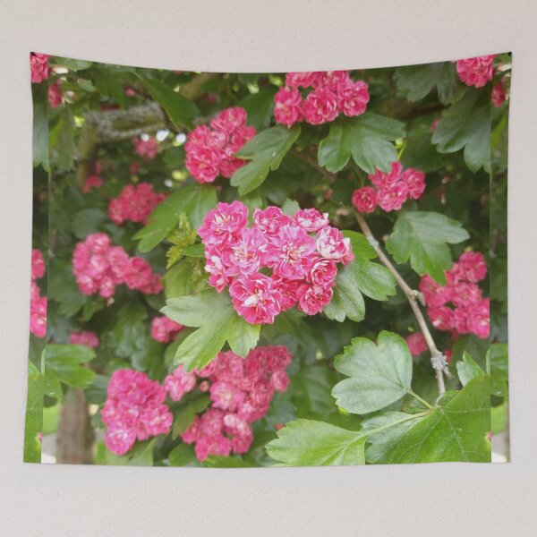Item preview, Magenta Spring Flowers on a Walk in Berlin (Hawthorn) designed and sold by nabeArtist.