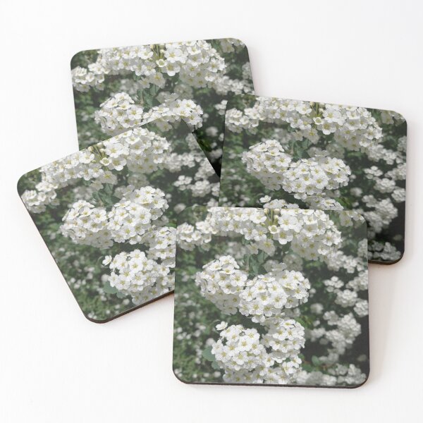 Item preview, White Spring Flowers on a Walk in Berlin (Japanese Shrub Spar) designed and sold by nabeArtist.