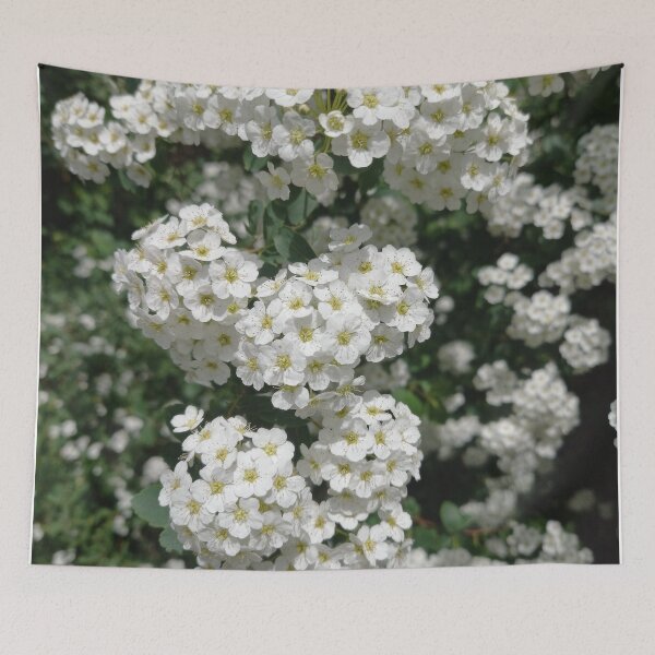 Item preview, White Spring Flowers on a Walk in Berlin (Japanese Shrub Spar) designed and sold by nabeArtist.