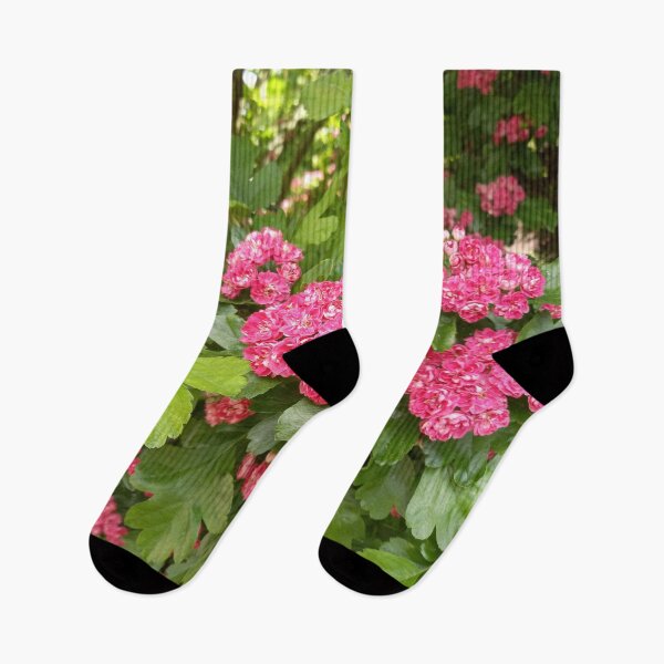 Item preview, Magenta Spring Flowers on a Walk in Berlin (Hawthorn) designed and sold by nabeArtist.