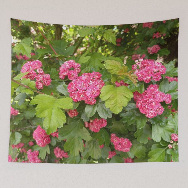 Item preview, Magenta Spring Flowers on a Walk in Berlin (Hawthorn) designed and sold by nabeArtist.