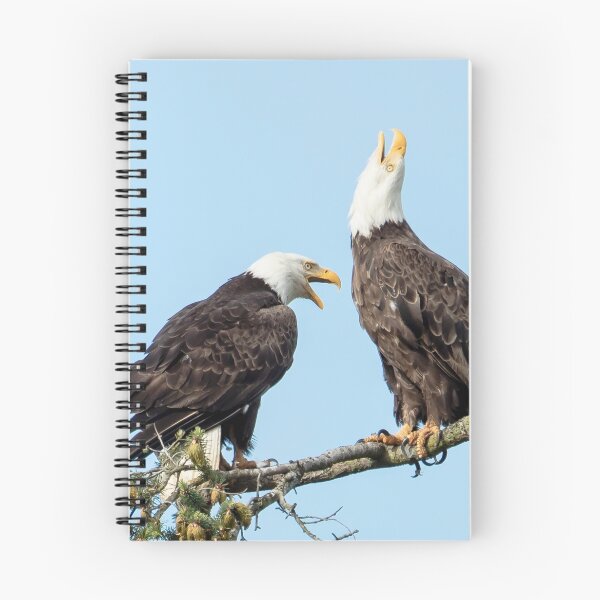 Item preview, Eagle Chatter designed and sold by Jim Stiles.