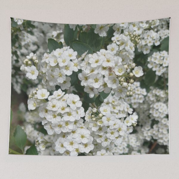 Item preview, White Spring Flowers on a Walk in Berlin (Japanese Shrub Spar) designed and sold by nabeArtist.
