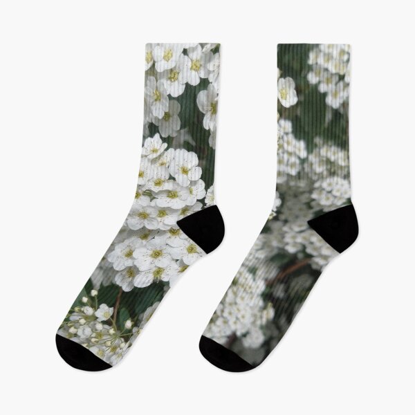 Item preview, White Spring Flowers on a Walk in Berlin (Japanese Shrub Spar) designed and sold by nabeArtist.