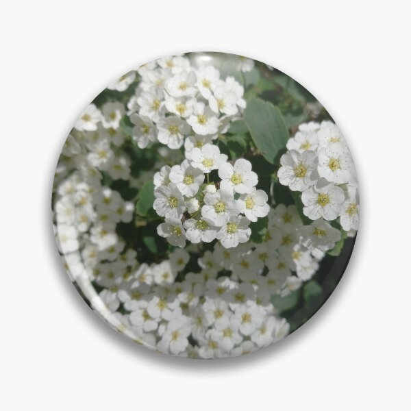 Item preview, White Spring Flowers on a Walk in Berlin (Japanese Shrub Spar) designed and sold by nabeArtist.