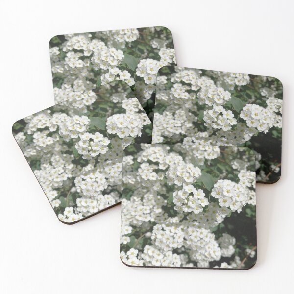 Item preview, White Spring Flowers on a Walk in Berlin (Japanese Shrub Spar) designed and sold by nabeArtist.