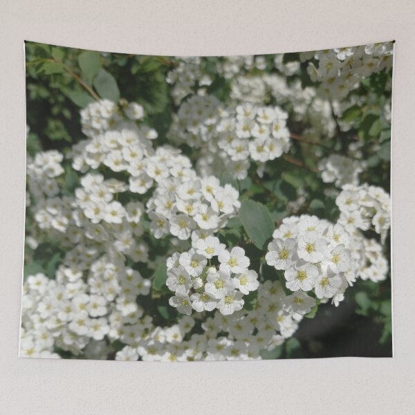 Item preview, White Spring Flowers on a Walk in Berlin (Japanese Shrub Spar) designed and sold by nabeArtist.