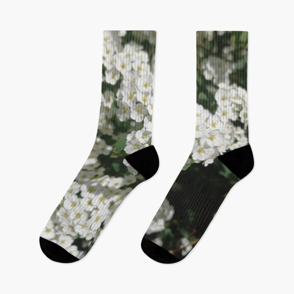 Item preview, White Spring Flowers on a Walk in Berlin (Japanese Shrub Spar) designed and sold by nabeArtist.