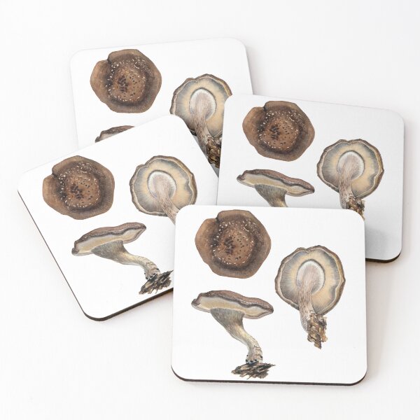Item preview, Shitake Mushroom - top, side, below (watercolor) designed and sold by Carrie Carlson.