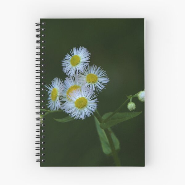 Item preview, Not all flowers are alone designed and sold by Ed Michalski.